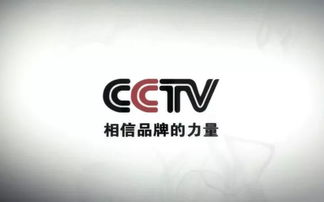 雷軍 努力工作，克制貪婪——數字廣告時代的智慧箴言